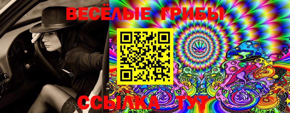 Галлюциногенные грибы Psilocybe Бугуруслан