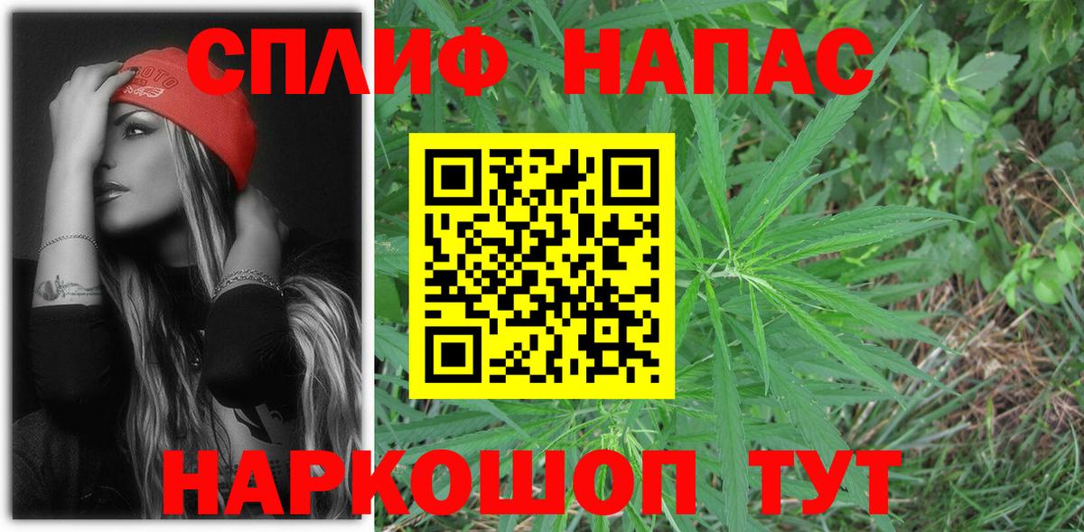 Шишки марихуана семена Бугуруслан